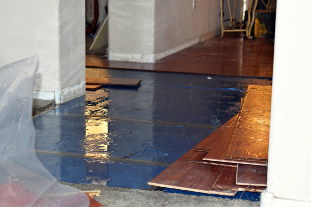 Professional Sewage Cleanup technician working in Catawba, OH